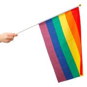 Håndflagg Pride