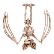 hangande-skelettfladdermus-prop-1