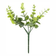 Tekokukka Eukalyptus