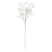 Tekokukka Harsokukat Valkoinen