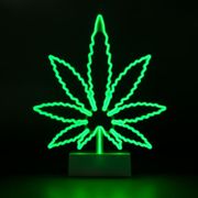 neonlampa-hampalov-75826-2