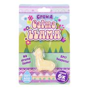 Kasvata Rauhallinen Laama