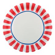 Papperstallrikar Röd/Blå