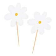 Partypicks Daisies