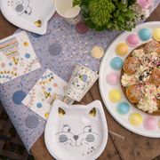 servetter-kitty-party2-3