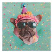 Servetter Party Hund