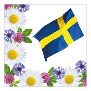 servetter-svenska-nationaldagen-1