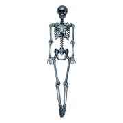 Skelett Silver Prop