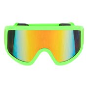 Skidglasögon Grön