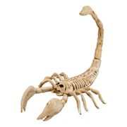 Skorpion Skjelett Prop