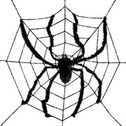 stort-spindelnat-med-spindel-97578-1