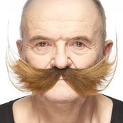 Keksijän viikset ruskea