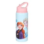 Vattenflaska Frost/Frozen™ i Aluminium