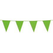 Vimpelgirlang Ljusgrön