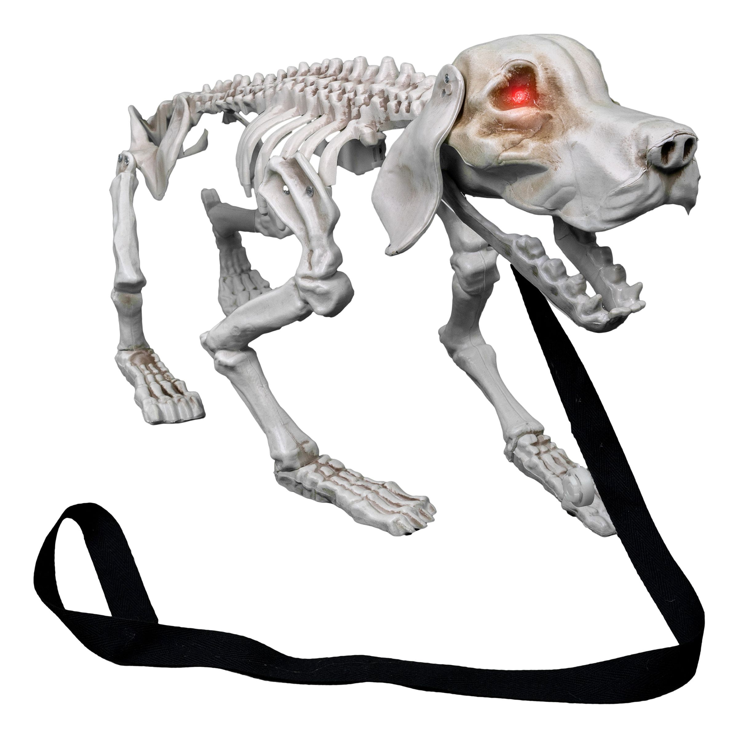Skällande Hundskelett Prop | Hem - Maskerad - Dekor & Rekvisita - Props | Party Outlet