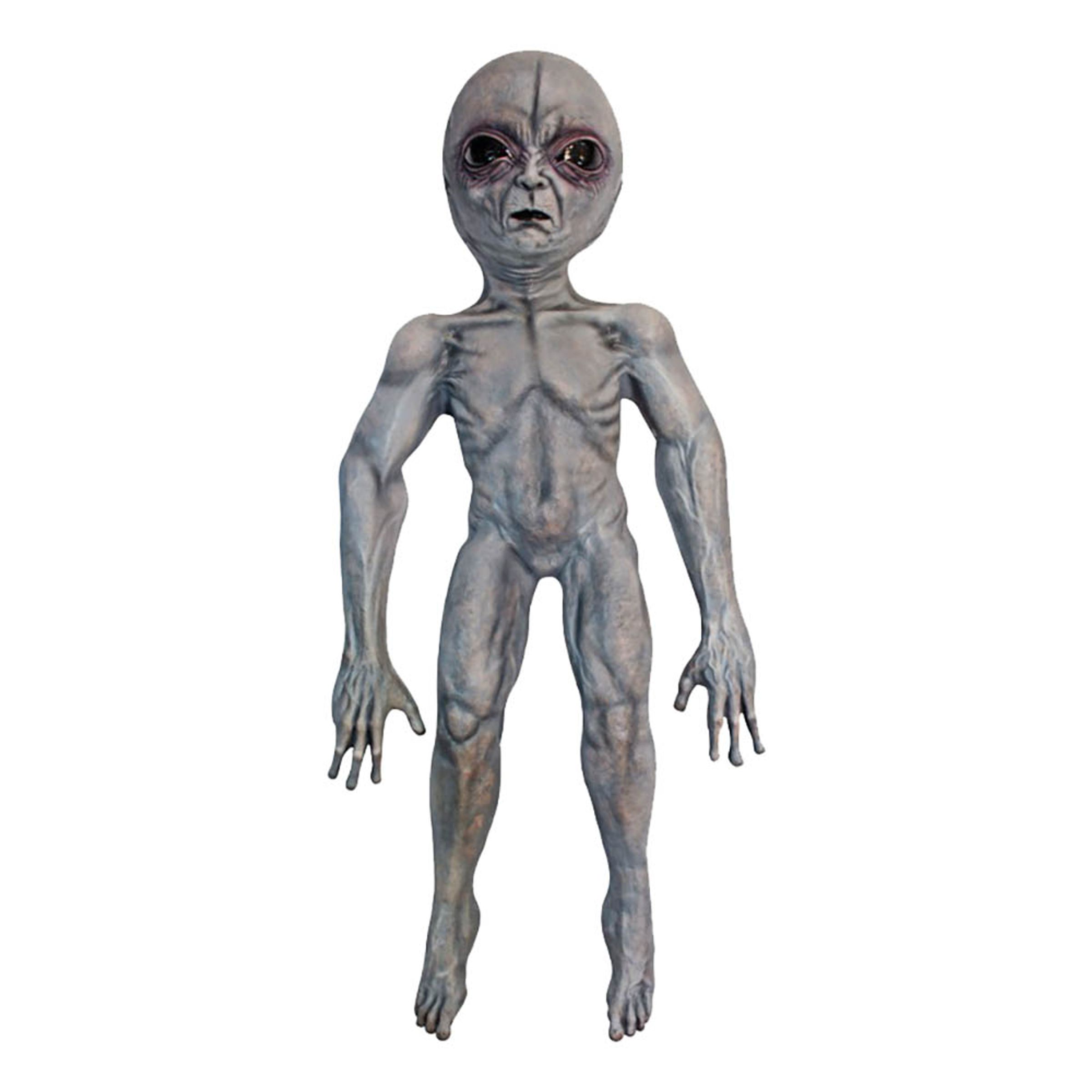 Läs mer om Area 51 Alien Prop