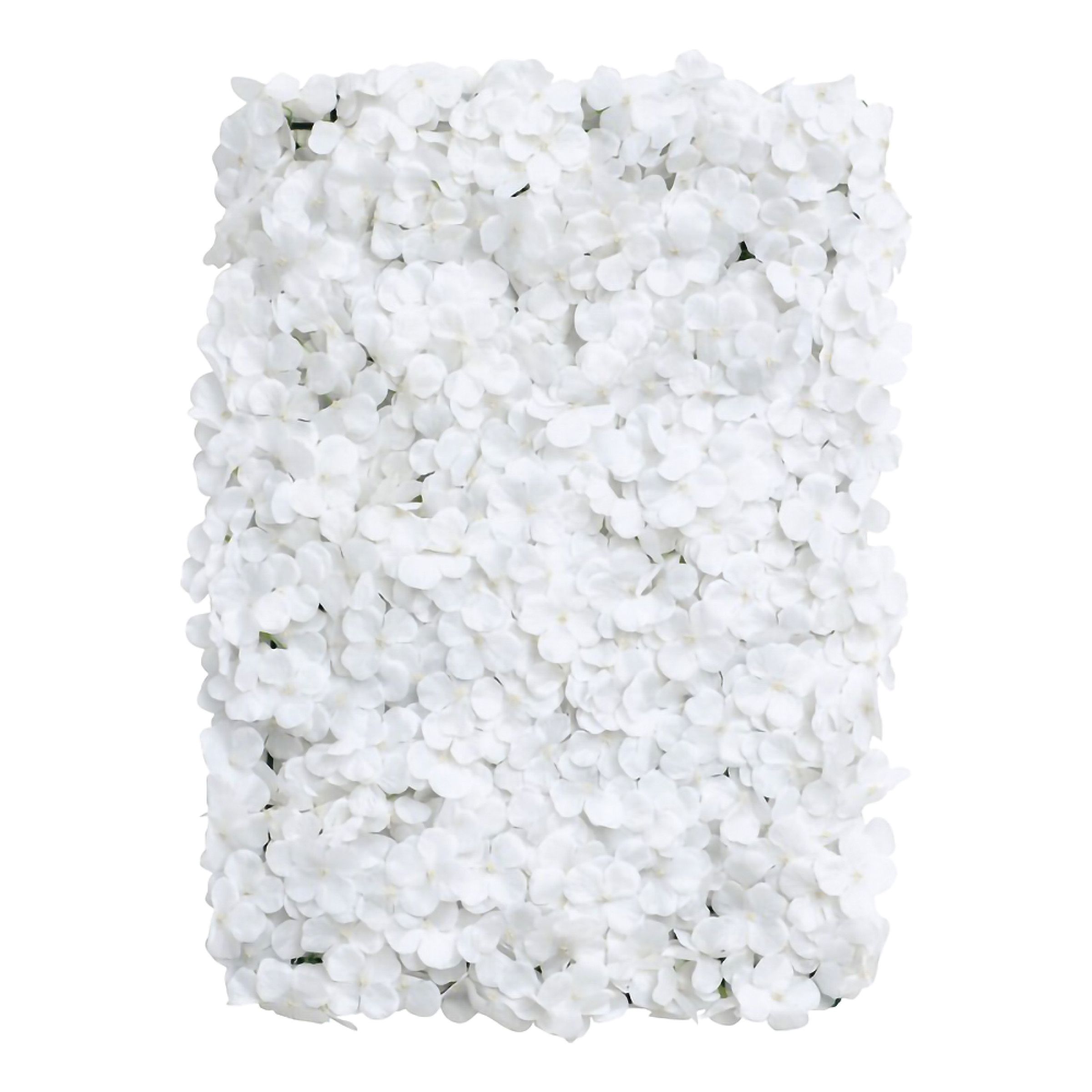 Backdrop Hortensia Vit | Hem - Teman - Färger - Vit | Maskeradspecialisten