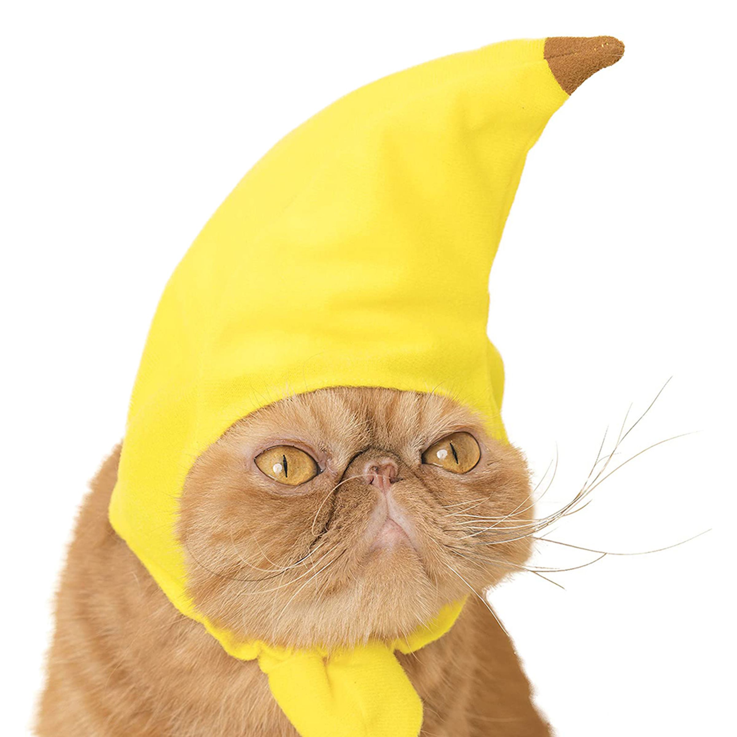 Bananhatt för Katt - One size