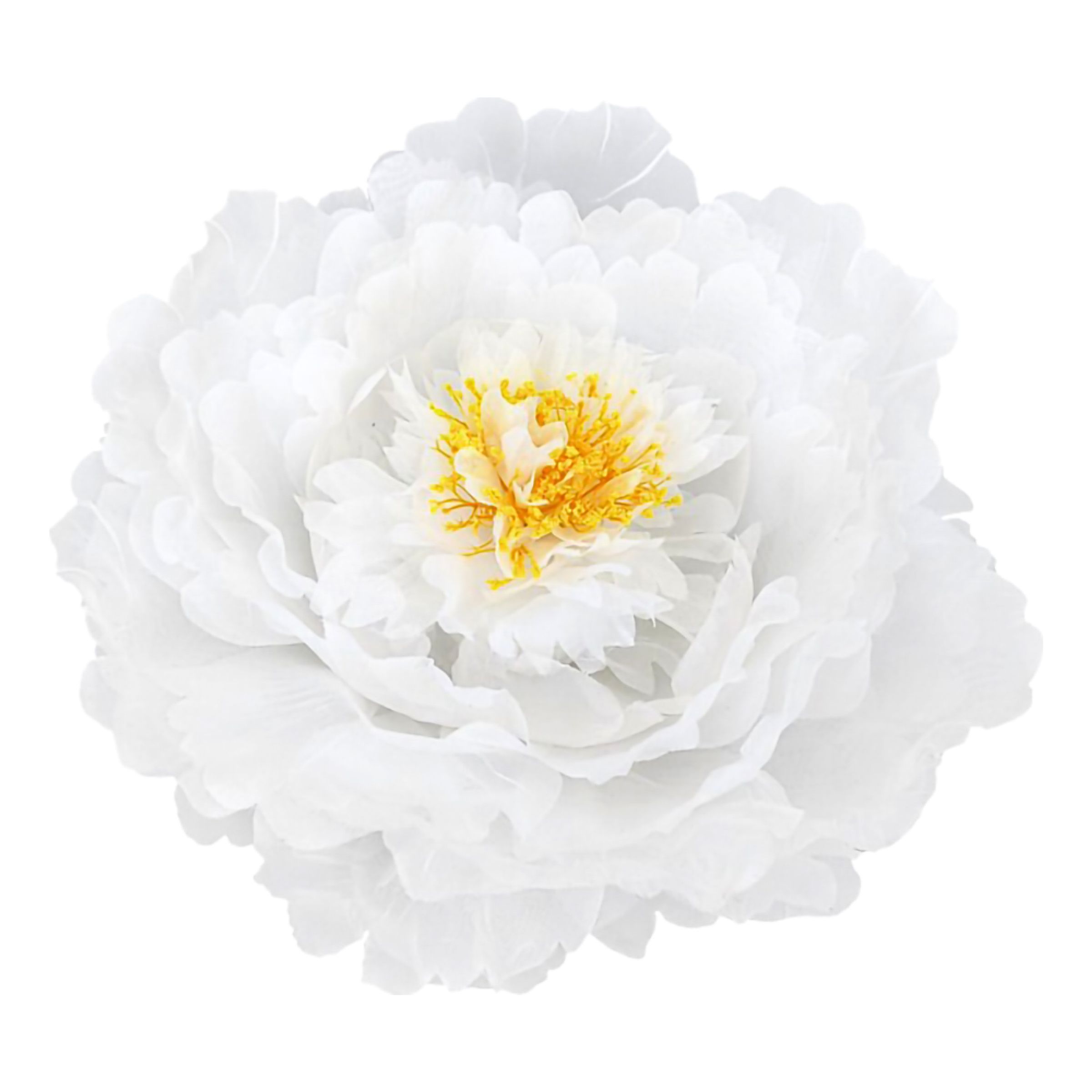 Bordsdekoration Pion Vit | Hem - Teman - Festteman - Sommarfest | Pryloteket