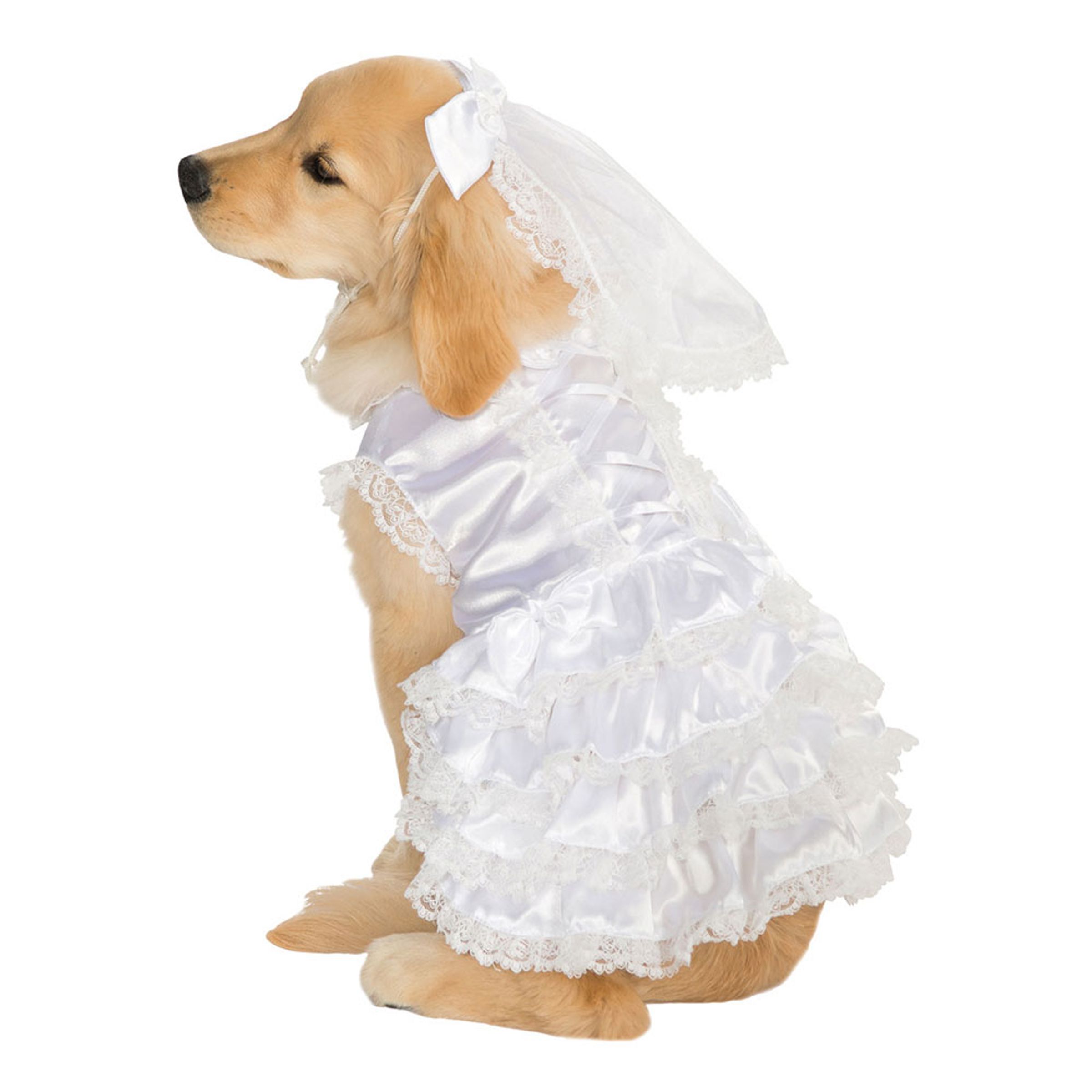 Brudklänning Hund Maskeraddräkt - X-Large