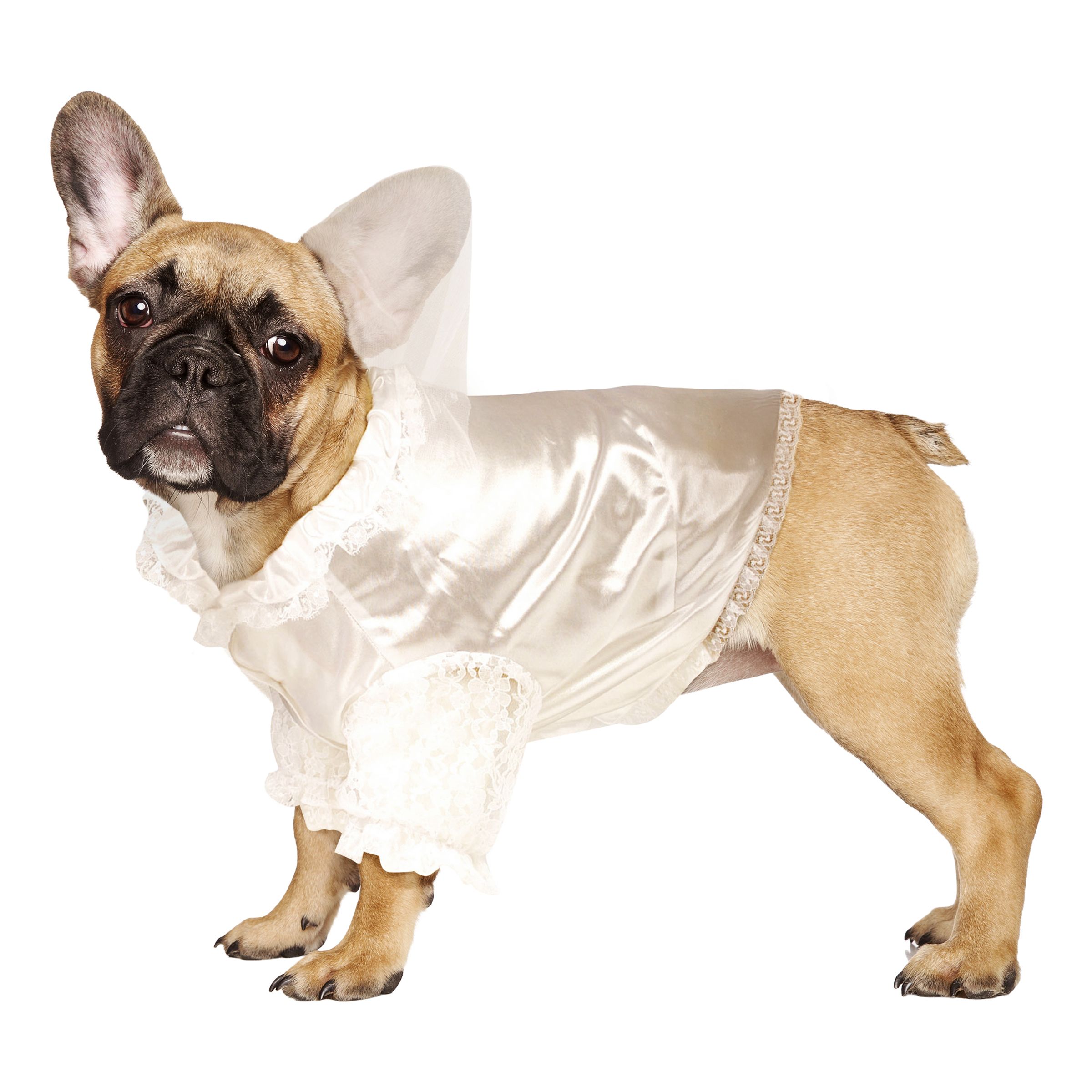 Brud Maskeraddräkt för Hund - Small | Hem - Maskerad - Maskeraddräkter - Dräkter till Hundar | Party Outlet