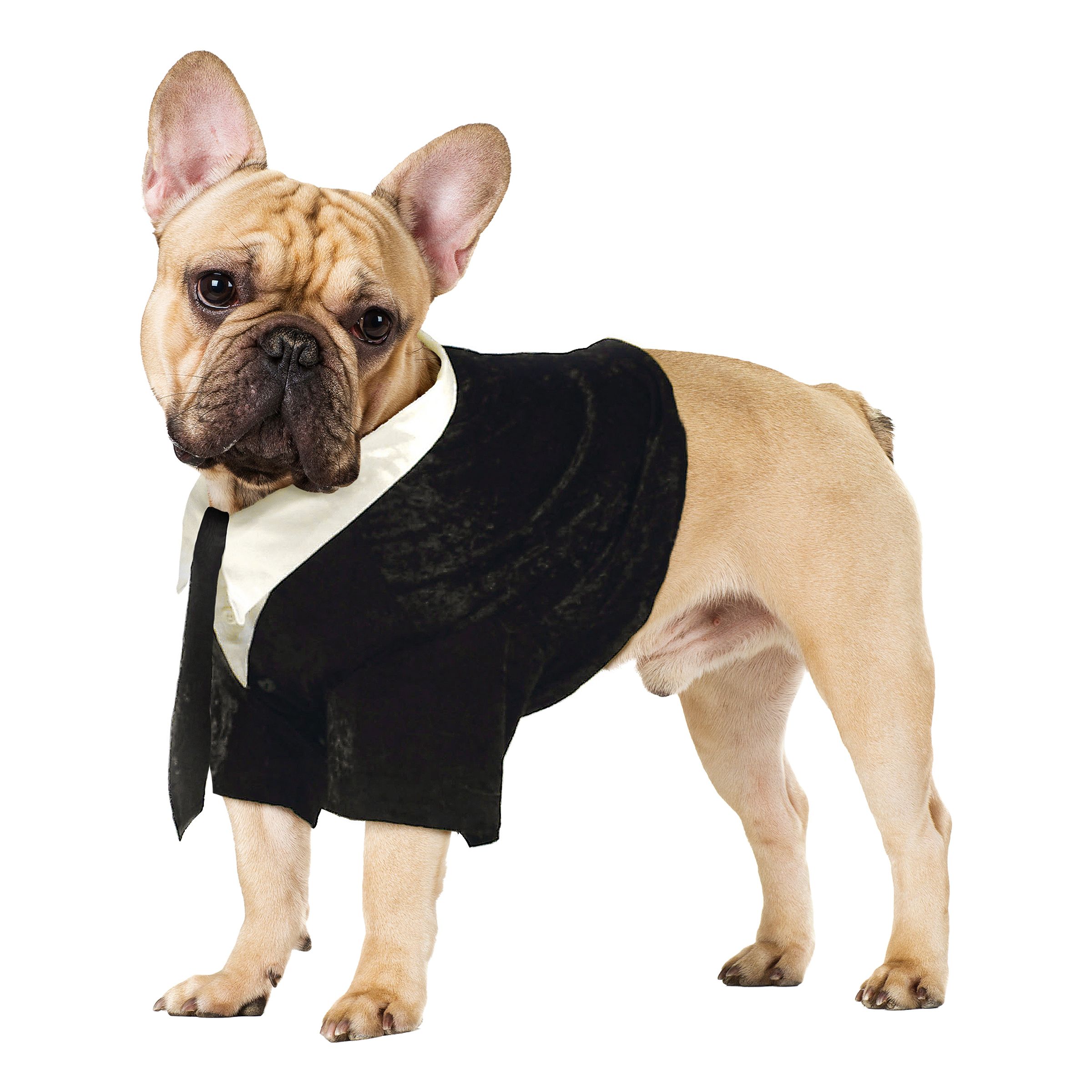 Brudgum Maskeraddräkt för Hund - X-Small | Hem - Maskerad - Maskeraddräkter - Dräkter till Hundar | Party Outlet