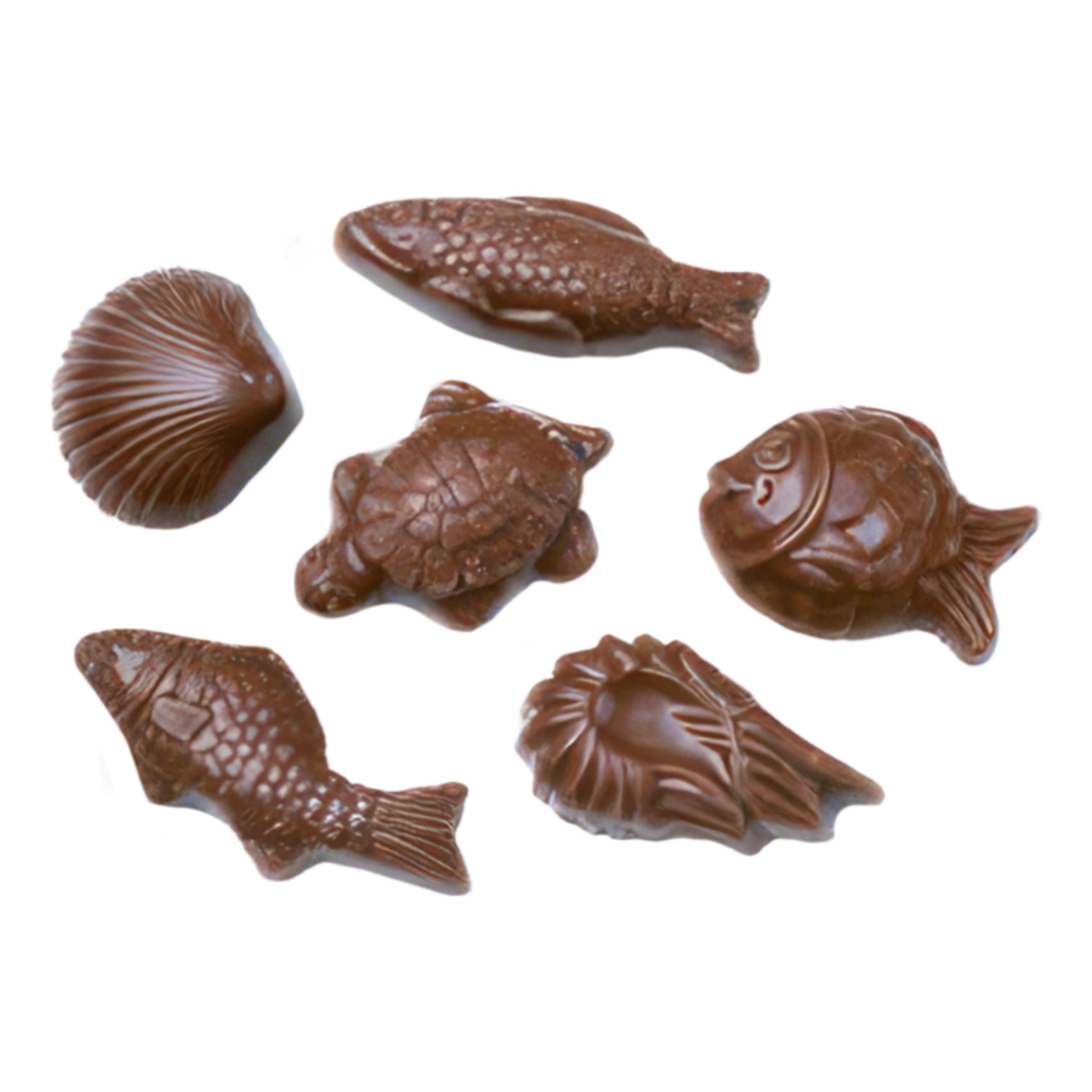 Läs mer om Chokladsjöfrukter Storpack - 2,2 kg