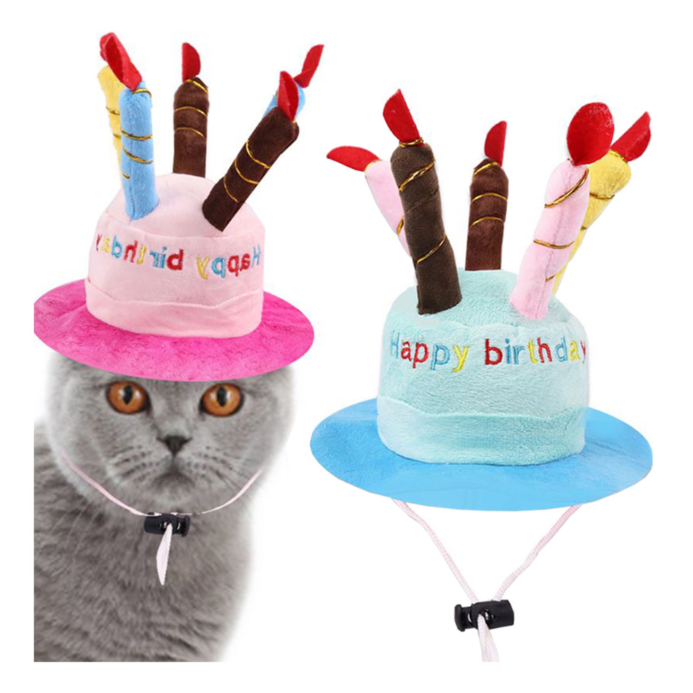 Läs mer om Födelsedagshatt för Katt - Blå