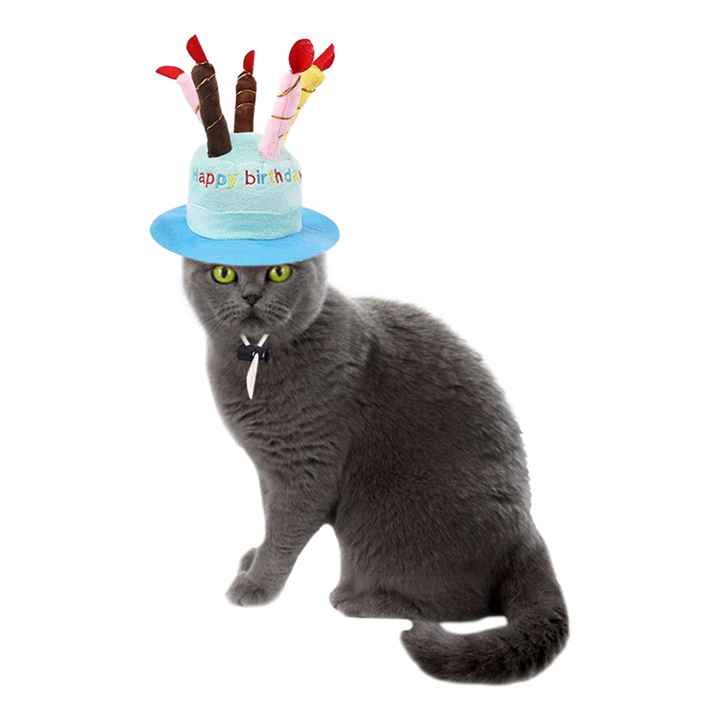 Läs mer om Födelsedagshatt för Katt - Blå