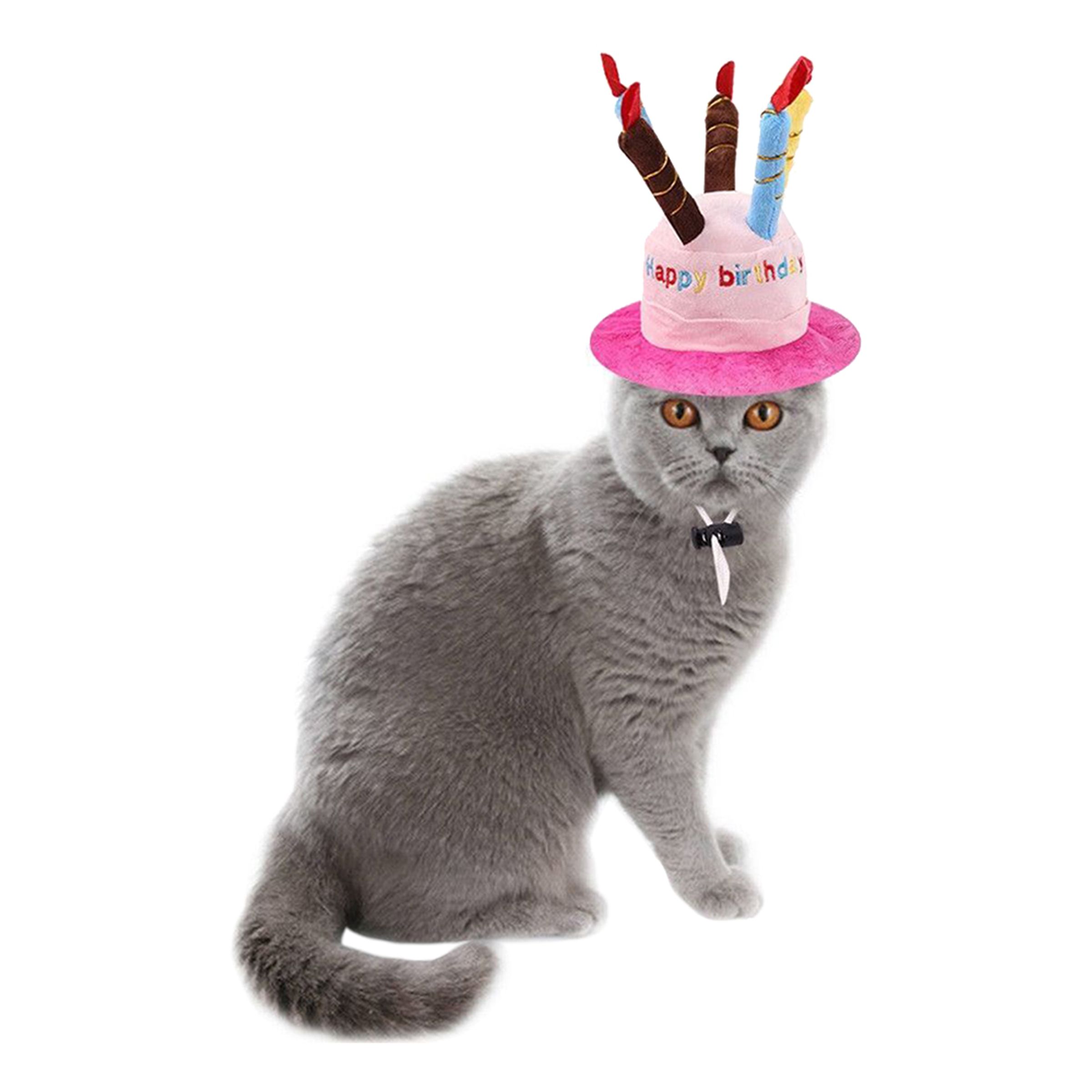 Läs mer om Födelsedagshatt för Katt - Rosa