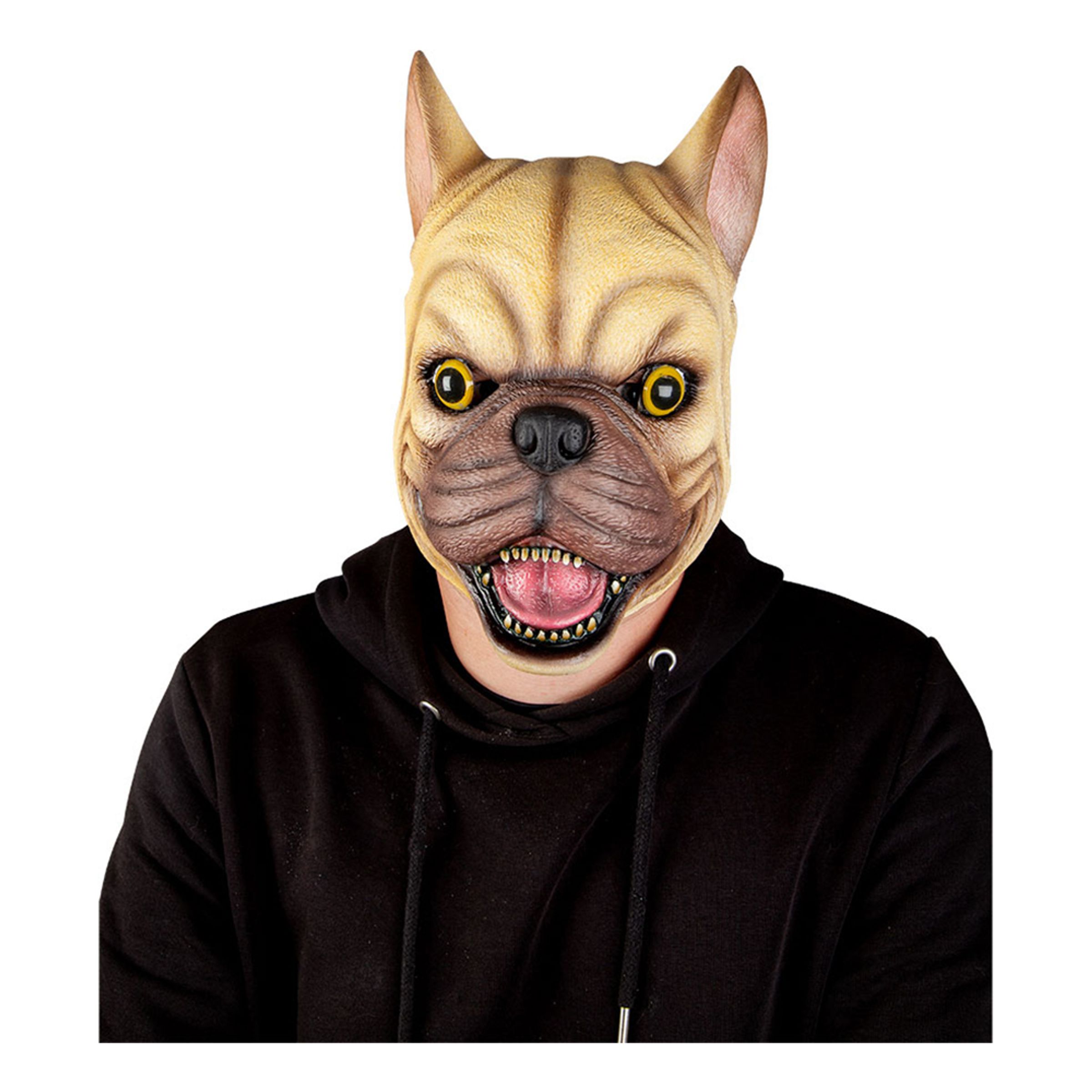 Djurmasker - Fransk Bulldog Latexmask - One size