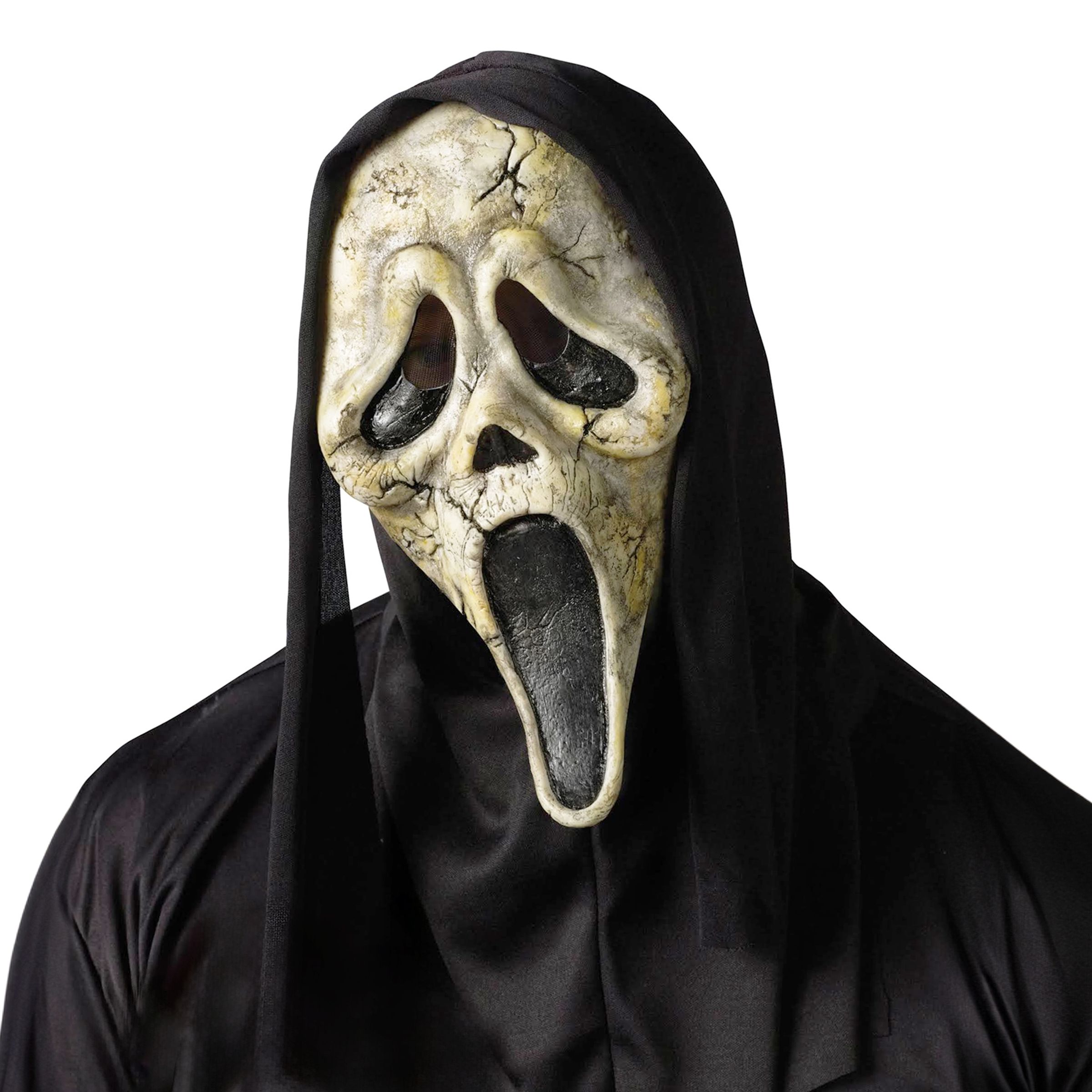 Läs mer om Ghostface Zombie Mask