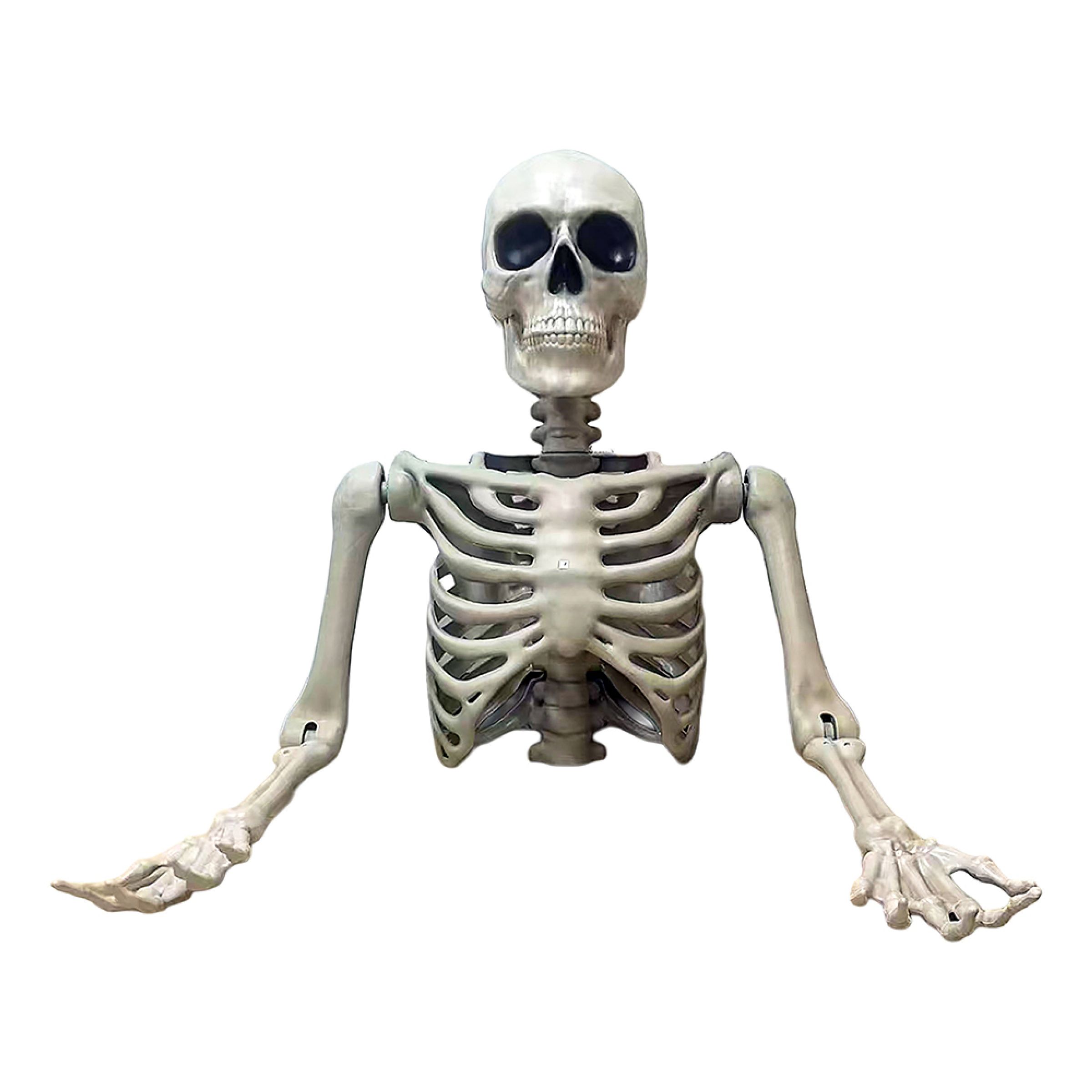 Gigantiskt Skelett Överkropp | Hem - Maskerad - Dekor & Rekvisita - Props | Maskeradspecialisten