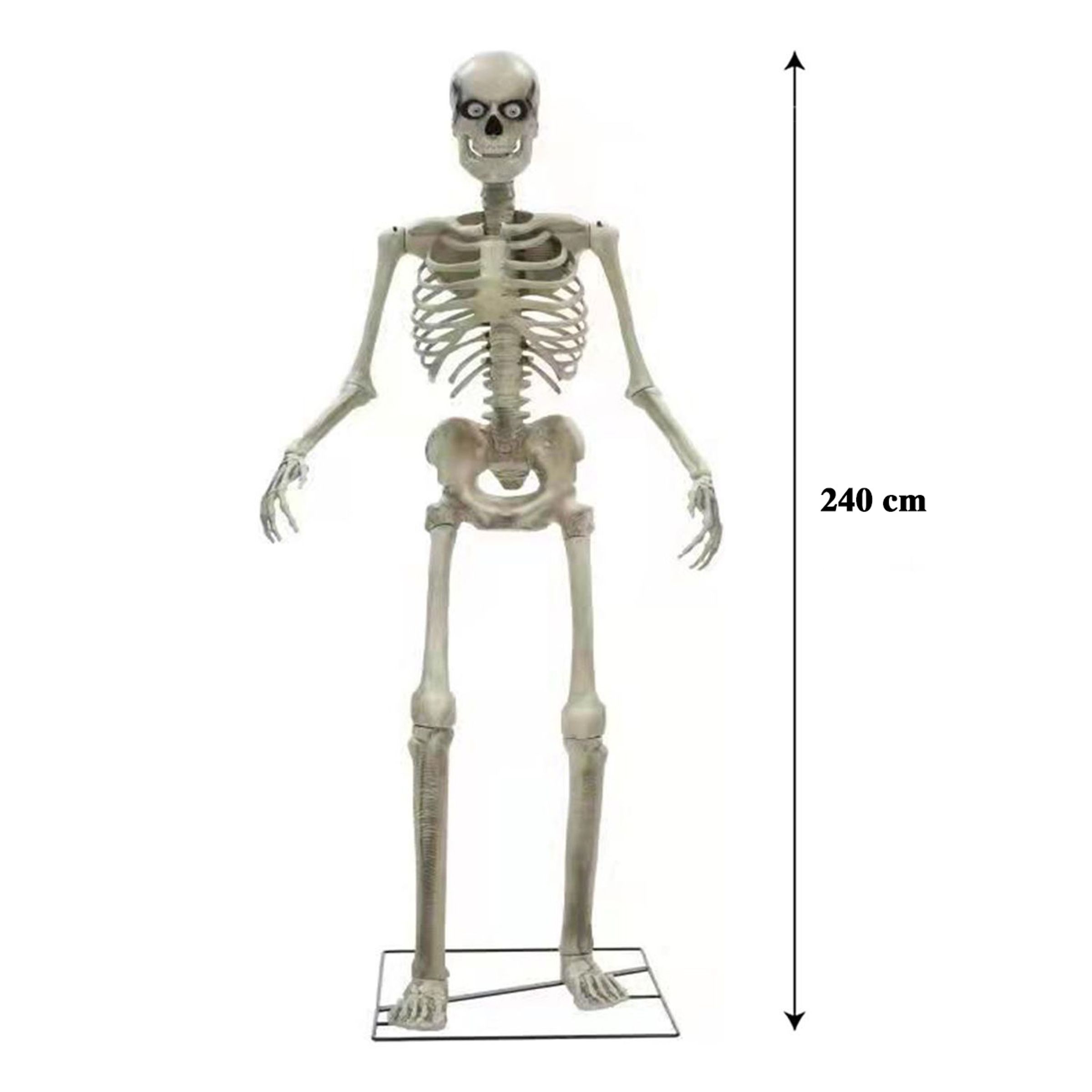 Gigantiskt Skelett Prop