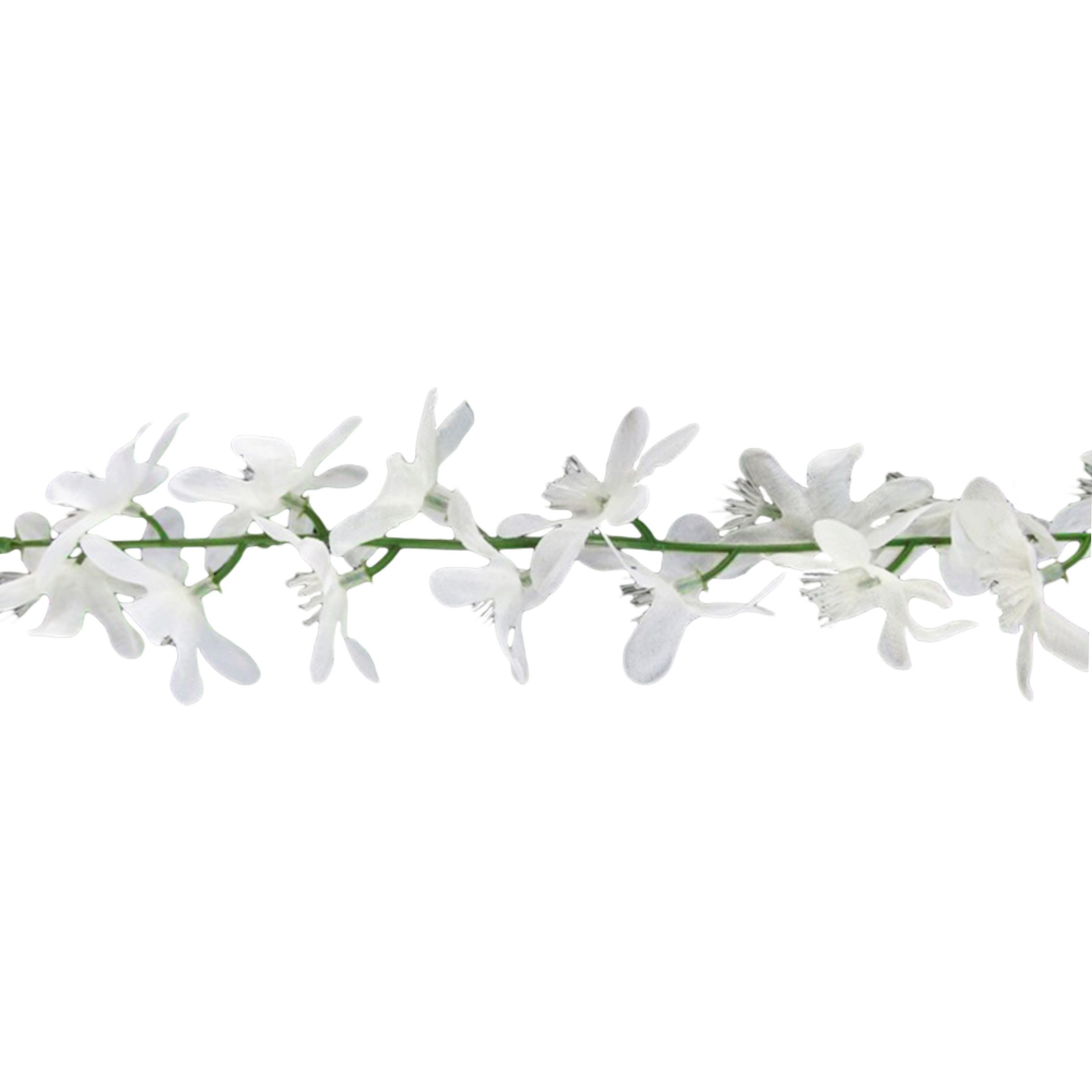 Girlang Jasminblommor | Hem - Festartiklar - Festdekoration - Girlanger | Maskeradspecialisten