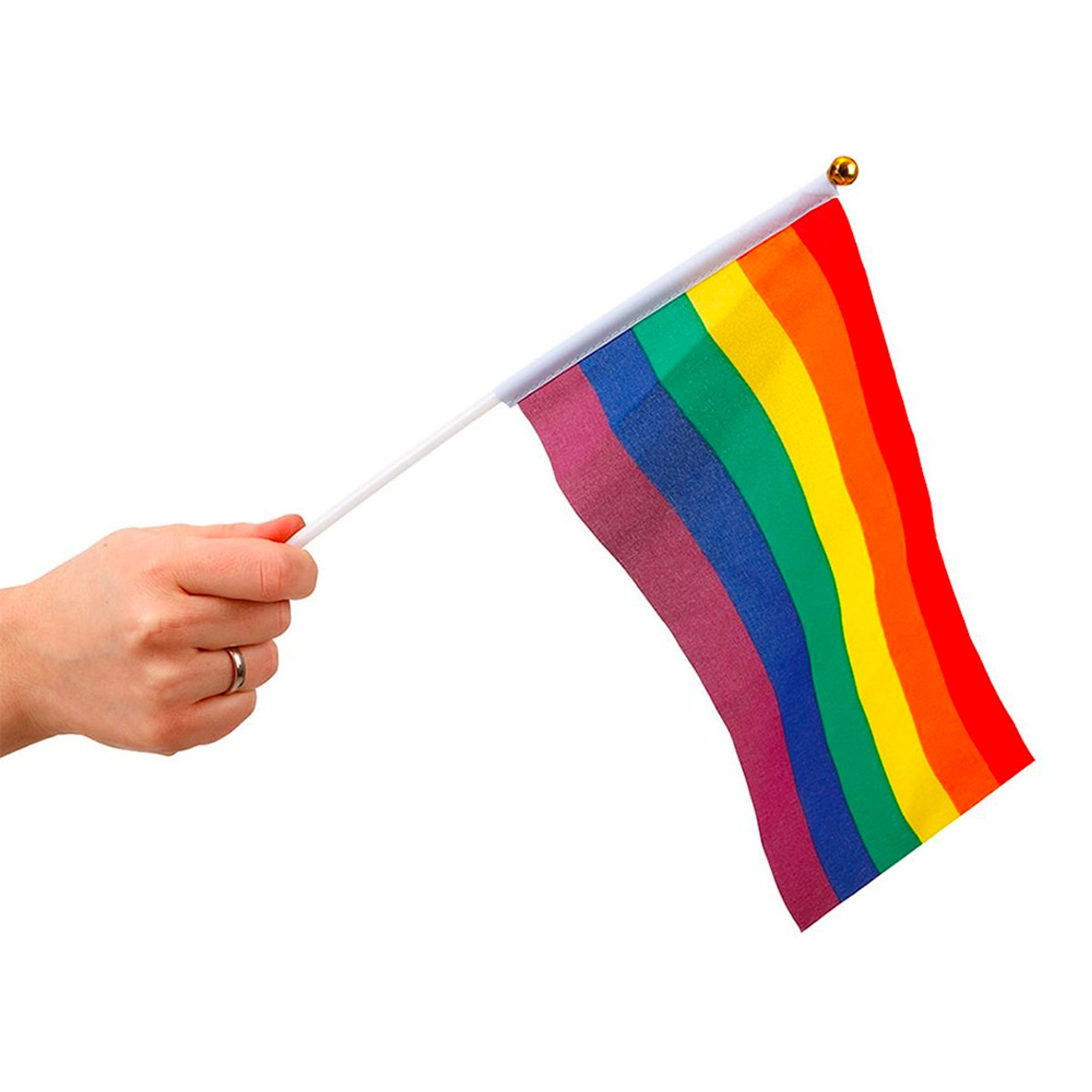 Handflaggor Pride - 6-pack