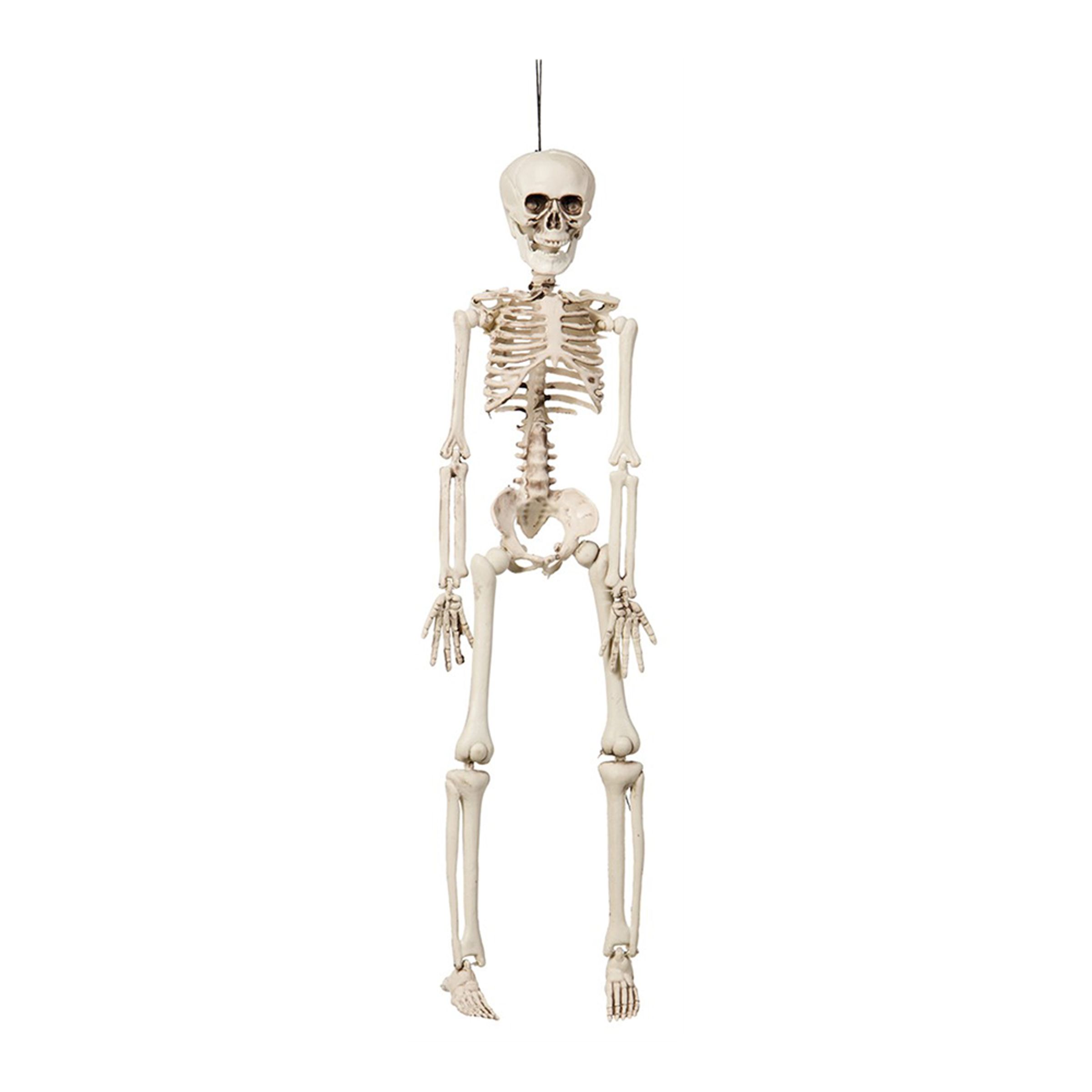 Hängande Böjbart Skelett Prop - 42 cm