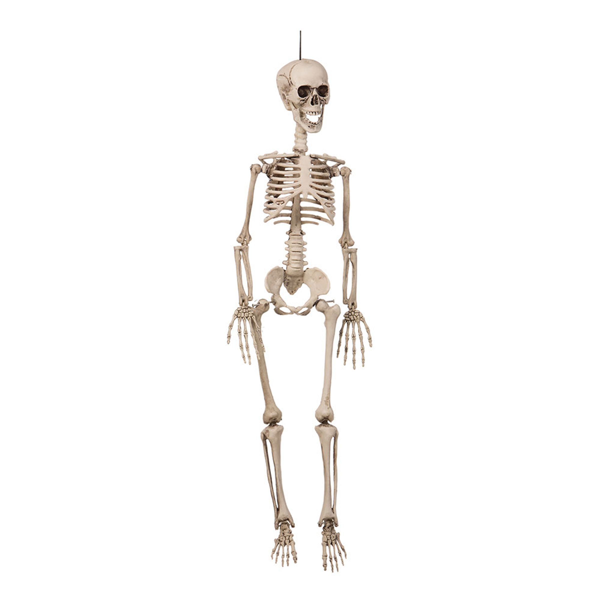 Hängande Skelett av Plast Prop