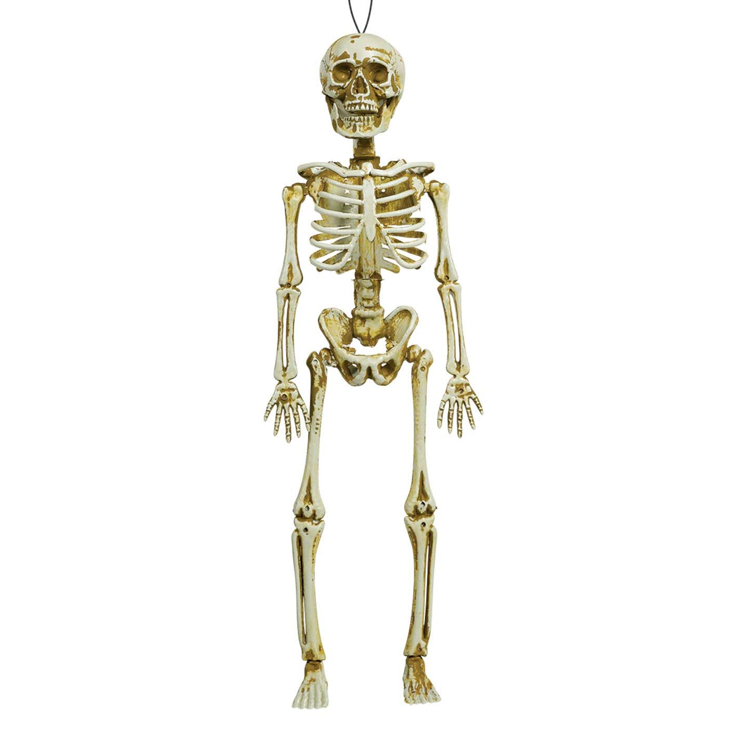 Läs mer om Hängande Skelett