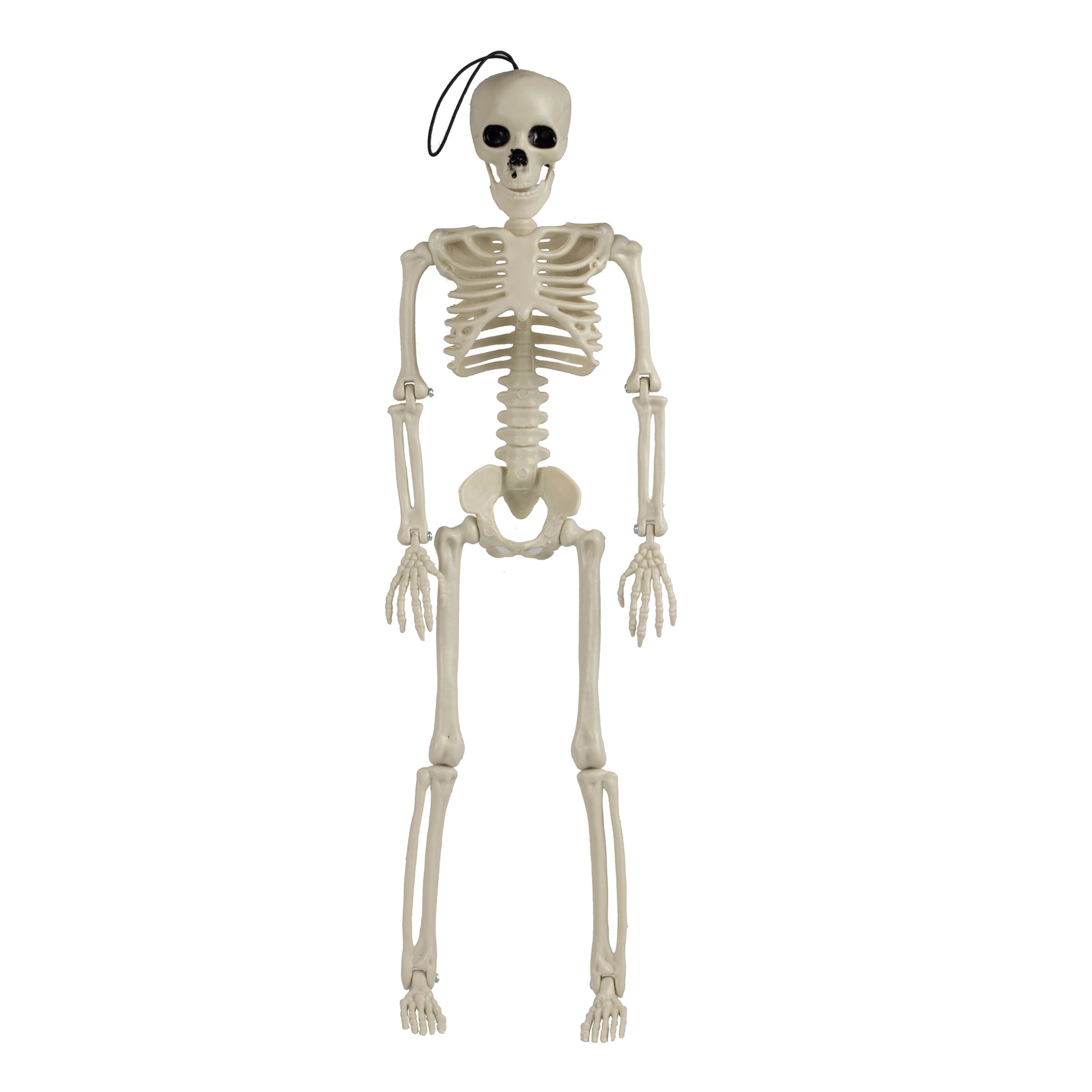 Läs mer om Hängande Skelett i Plast