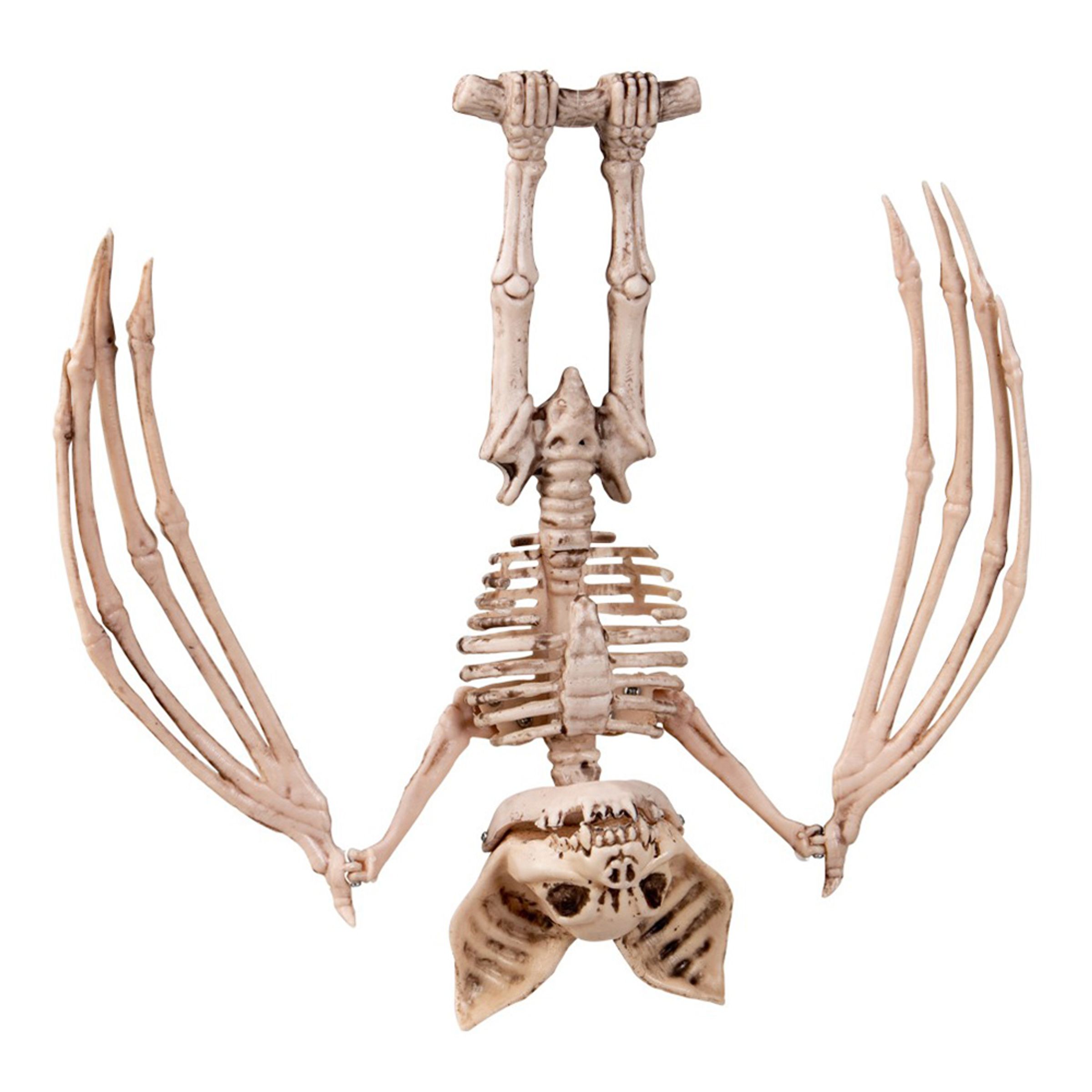 Läs mer om Hängande Skelettfladdermus Prop