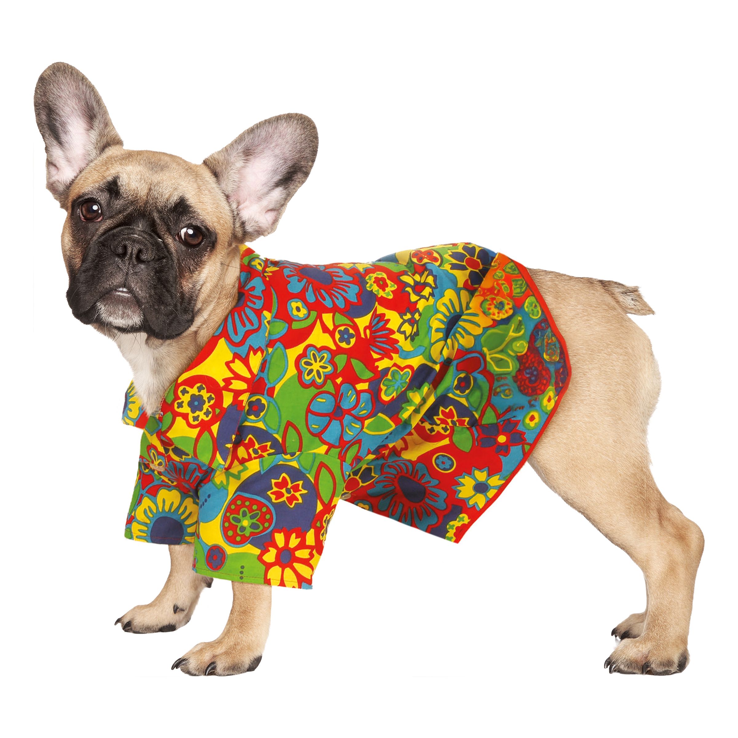 Hawaii Maskeraddräkt för Hund - Small | Hem - Maskerad - Maskeraddräkter - Dräkter till Hundar | Party Outlet