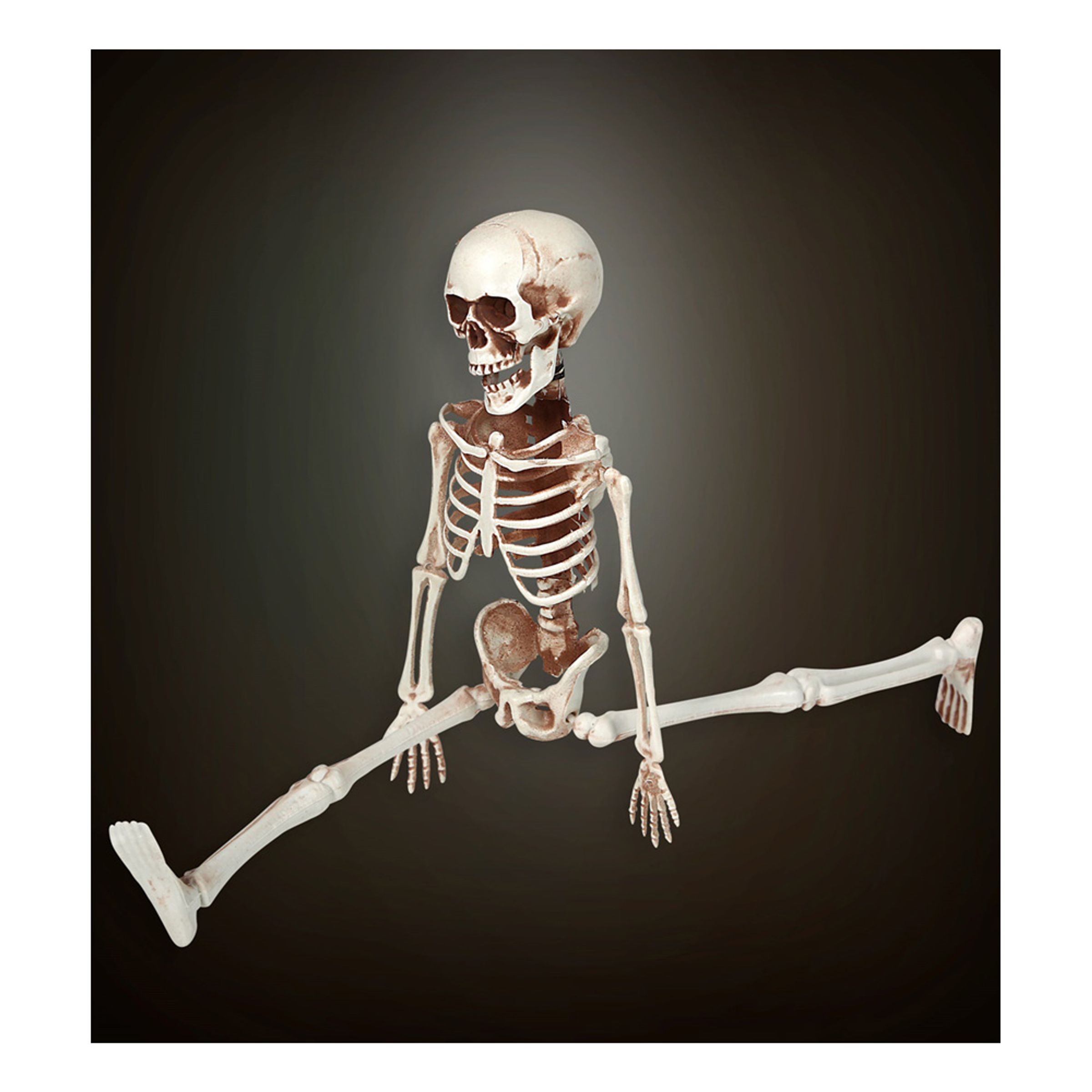 Läs mer om Justerbart Skelett - 40 cm