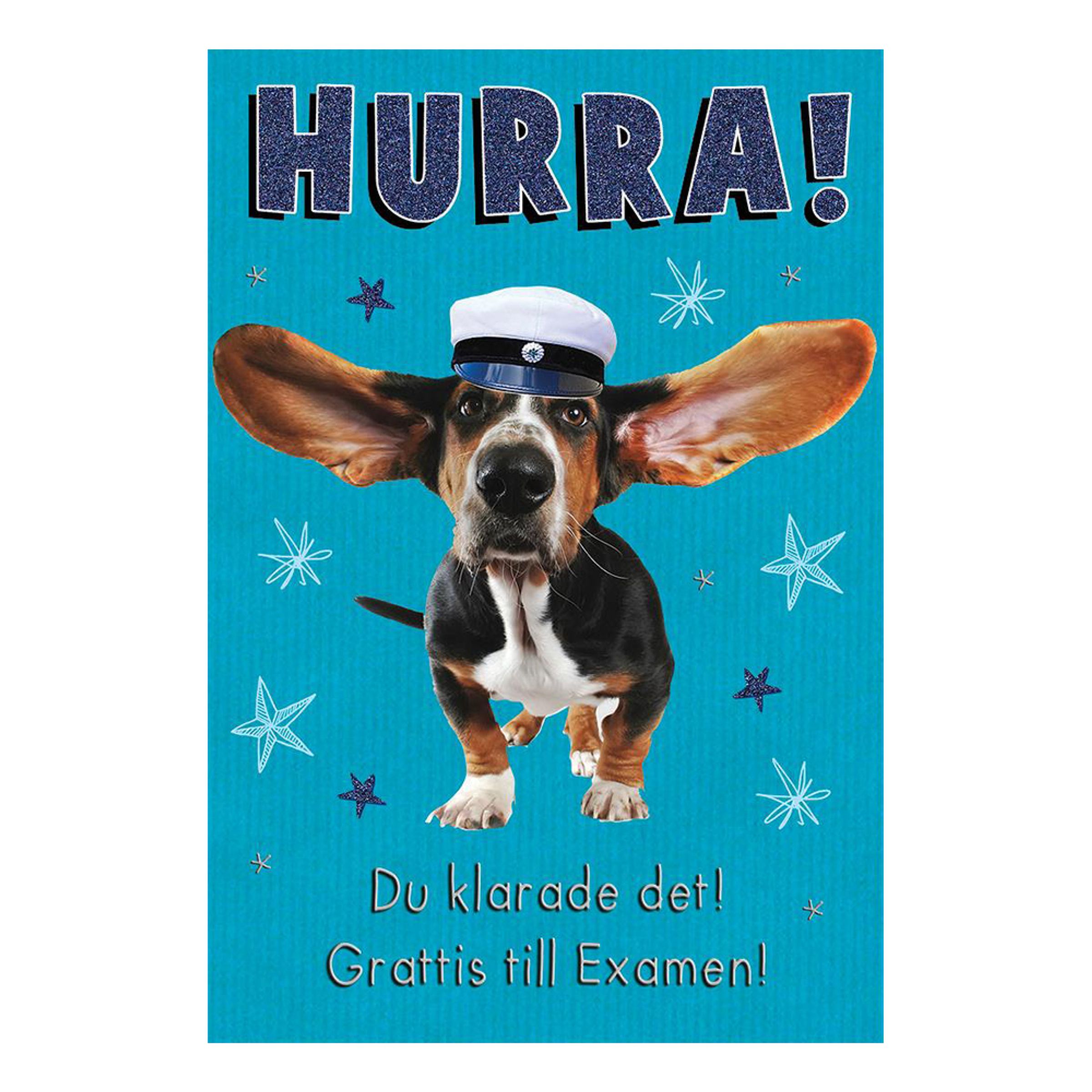 Kort Examen Hurra! | Hem - Teman - Högtider - Student - Studentkort & Examenskort | Maskeradspecialisten