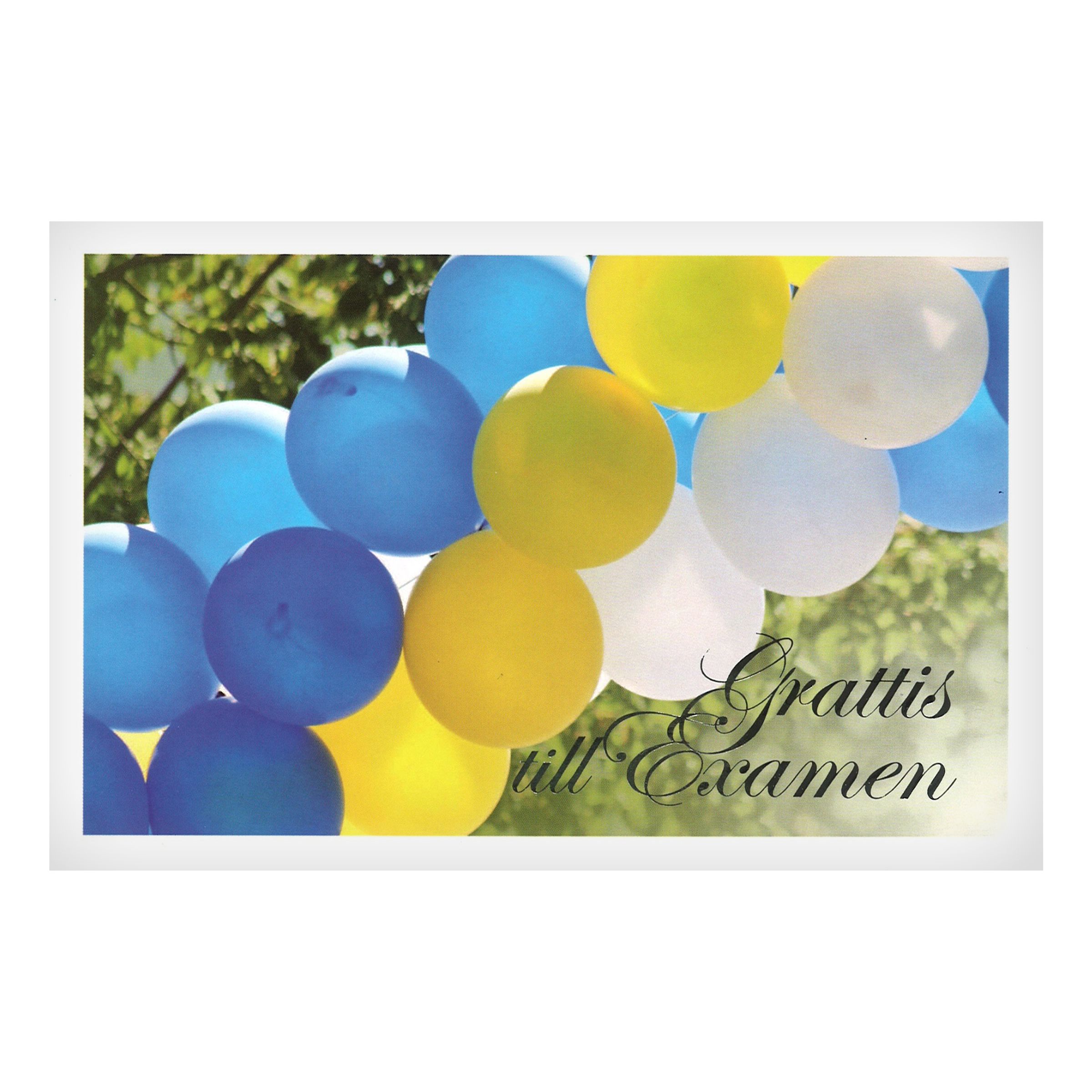 Kort Grattis till Examen | Hem - Teman - Högtider - Student - Studentkort & Examenskort | Maskeradspecialisten