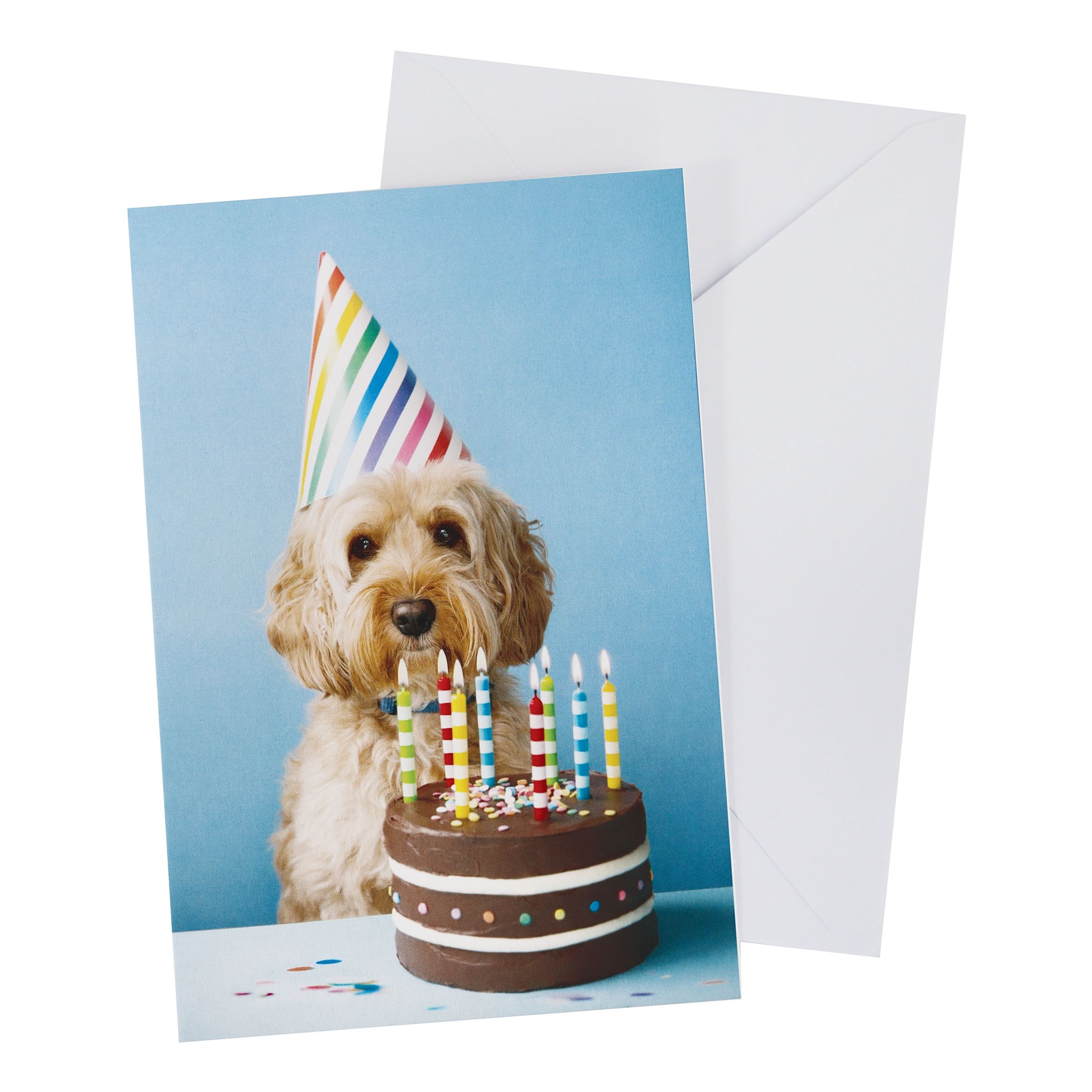 Kort med Kuvert Hund med Födelsedagstårta
