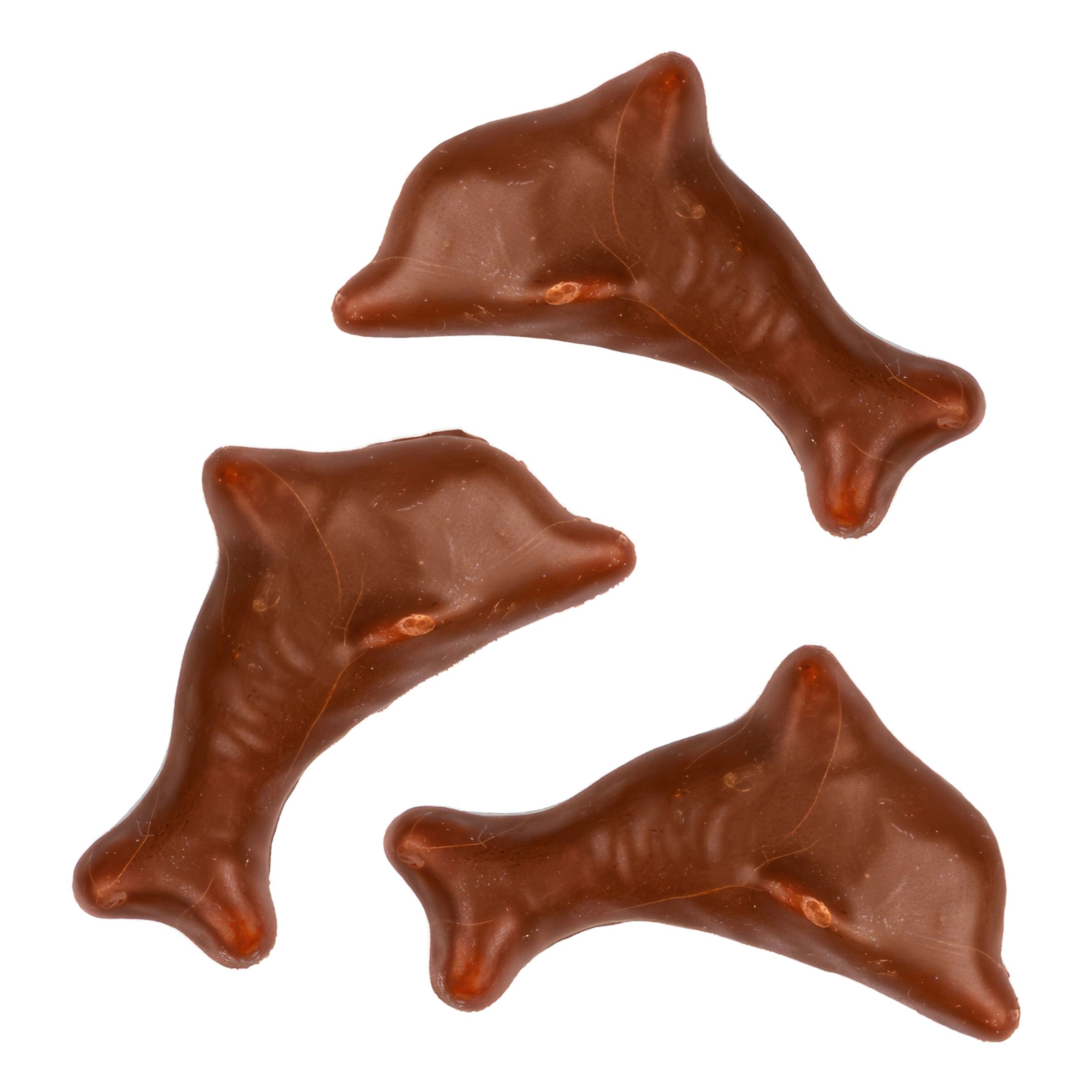 Läs mer om Liten Chokladdelfin Storpack - 1,1 kg