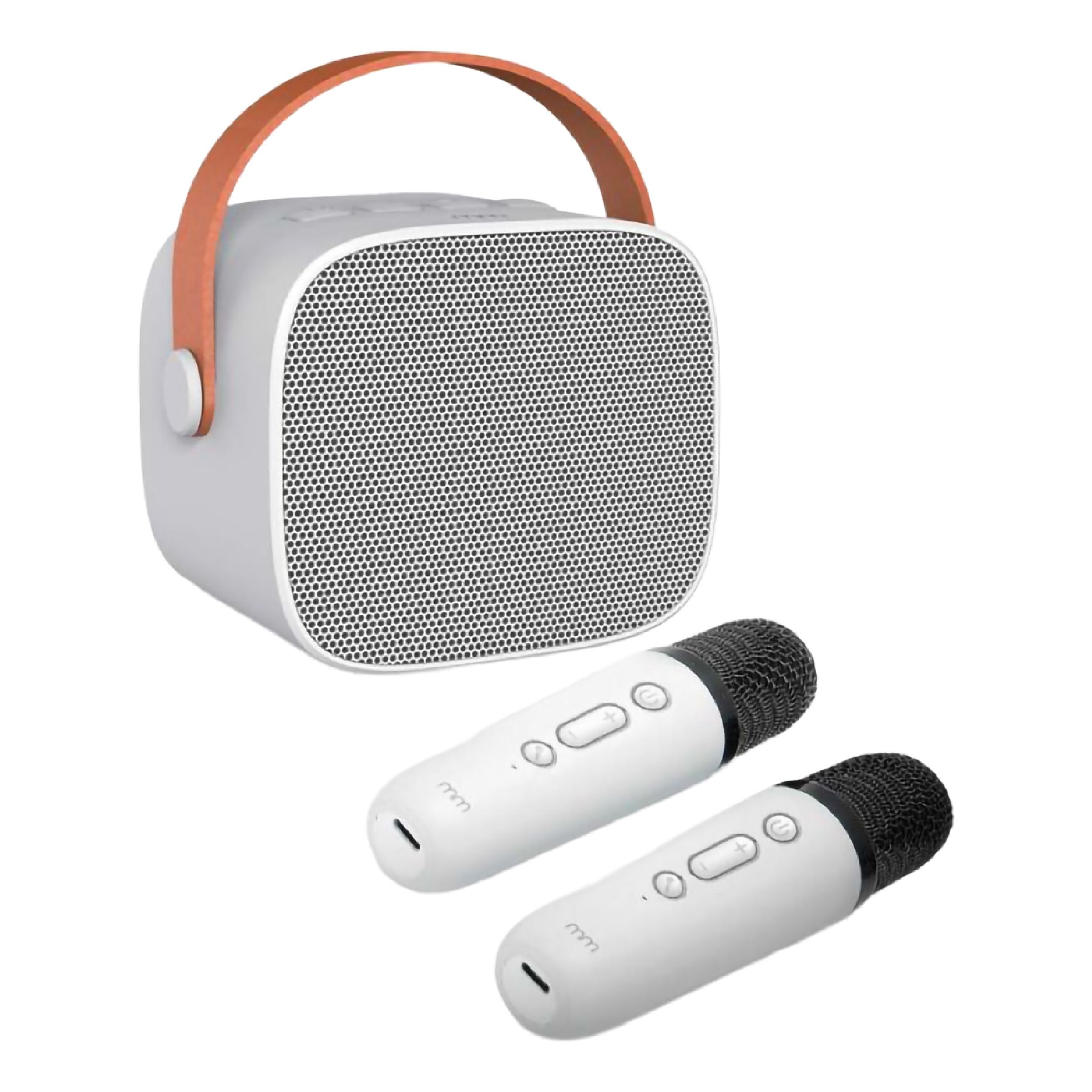 MM Karaoke 2 Go | Hem - Teman - Evenemang - Möhippa | Pryloteket