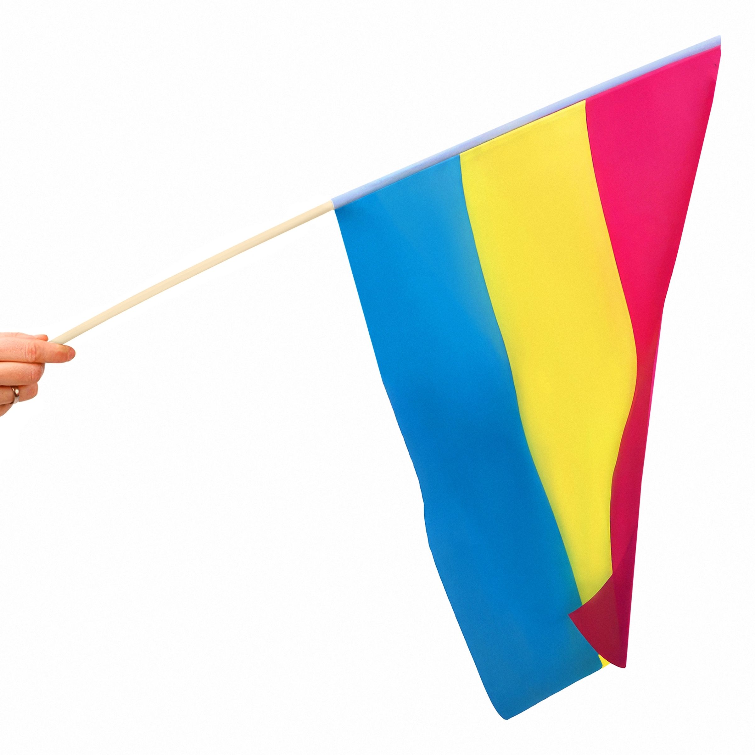 Läs mer om Panflagga på Pinne 40x60cm - 1-pack