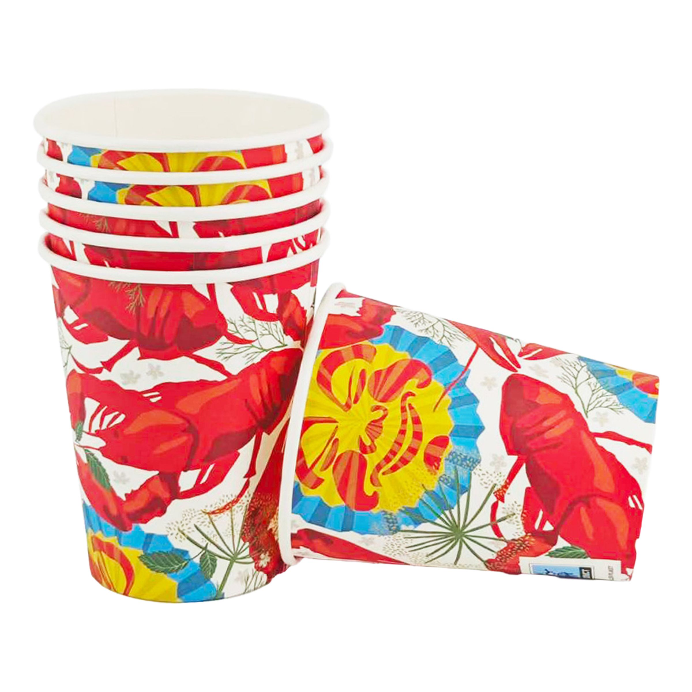 Papkrus Krebseskive - 6-pak